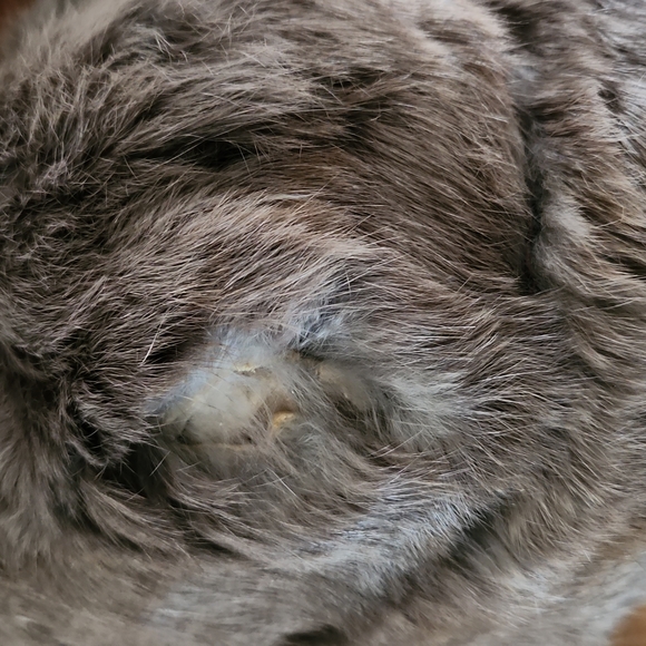 VINTAGE Rabbit fur hat - Picture 6 of 6